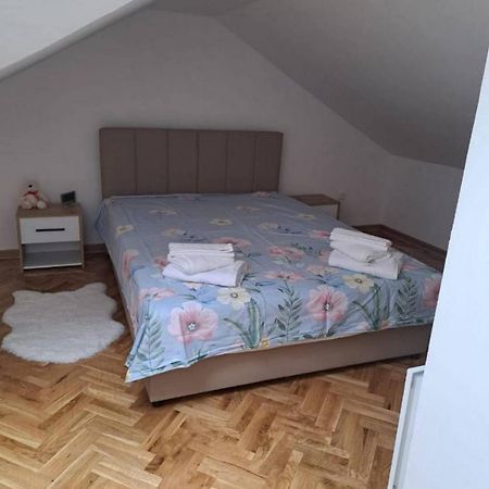 Apartmán Talija Apartman Vrnjačka Banja Exteriér fotografie